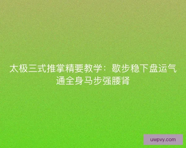 太极三式推掌精要教学:歇步稳下盘运气通全身马步强腰肾 太极三式推掌精要教学:歇步稳下盘运气通全身马步强腰肾